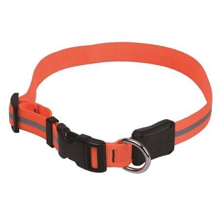 NITE IZE NITE DAWG LED COLLAR MEDIUM,  hundhalsband led