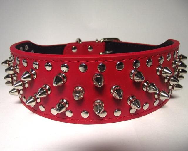Hund halsband 2" rött med nitar 39-47cm styling