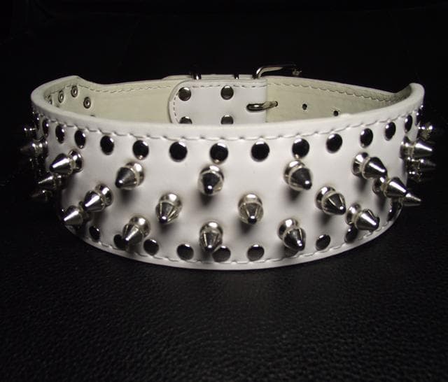 Hund halsband 2" vitt med nitar 39-47cm styling