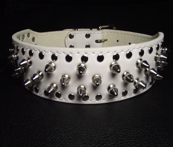 Hund halsband 2" vitt med nitar 39-47cm styling
