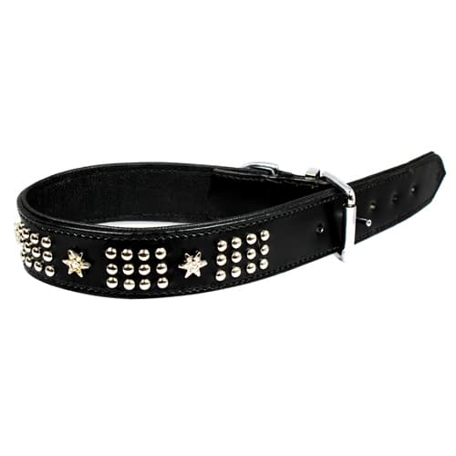Fodrat läderhalsband m beslag & dekor i krom, 60cm x 40mm