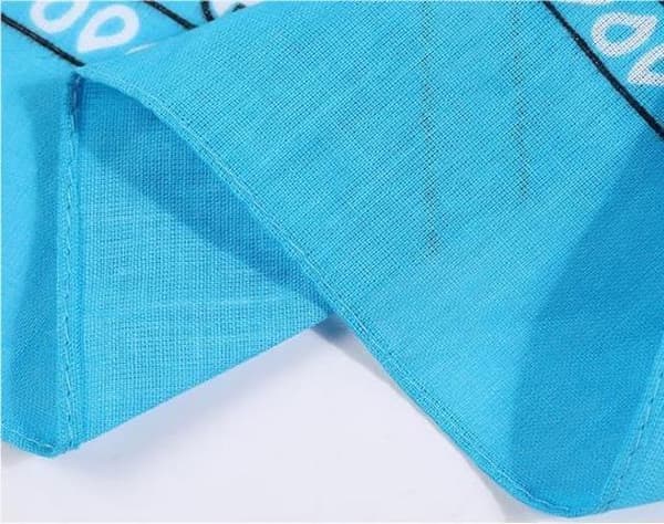 Bandana Paisleymönster scarfs