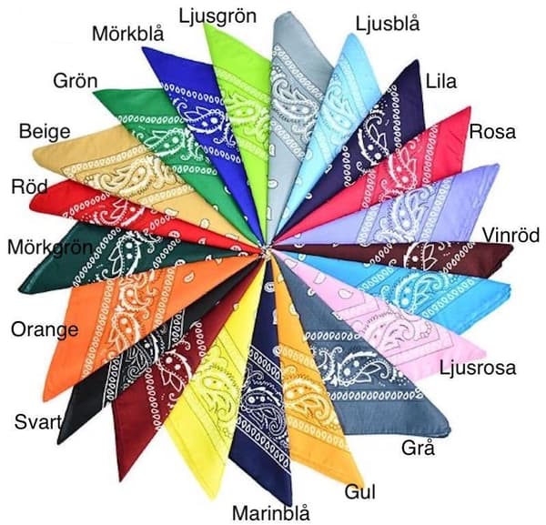 Bandana Paisleymönster scarfs