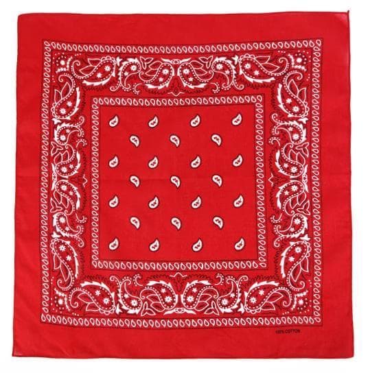 Bandana Paisleymönster scarfs