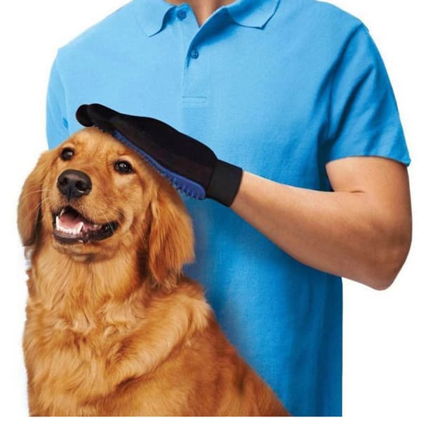 Borsthandske - Hund - Katt Höger hand