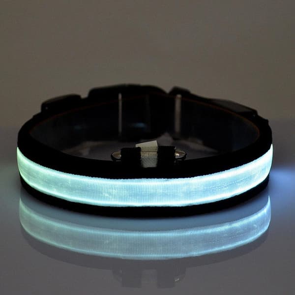 LED Lysande Halsband till hund - Flera färger