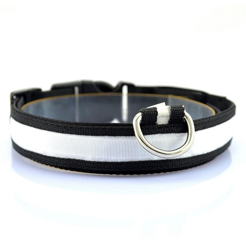 LED Lysande Halsband till hund - Flera färger