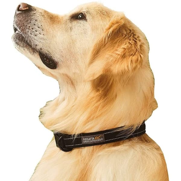 Regatta Premium Dog Collar