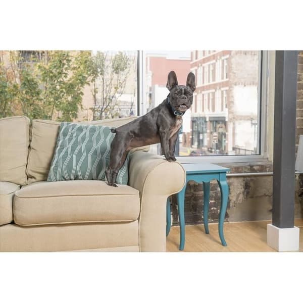 PBC19-16448 LITE Anti-Bark Halsband för hundar