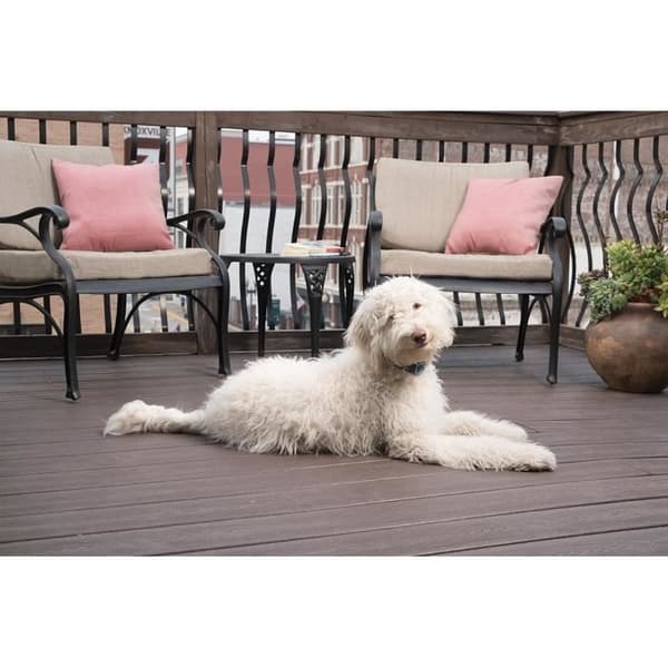 PBC19-16448 LITE Anti-Bark Halsband för hundar
