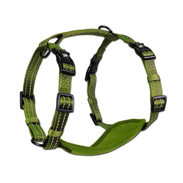 Alcott Adventure Dog Harness Green Small