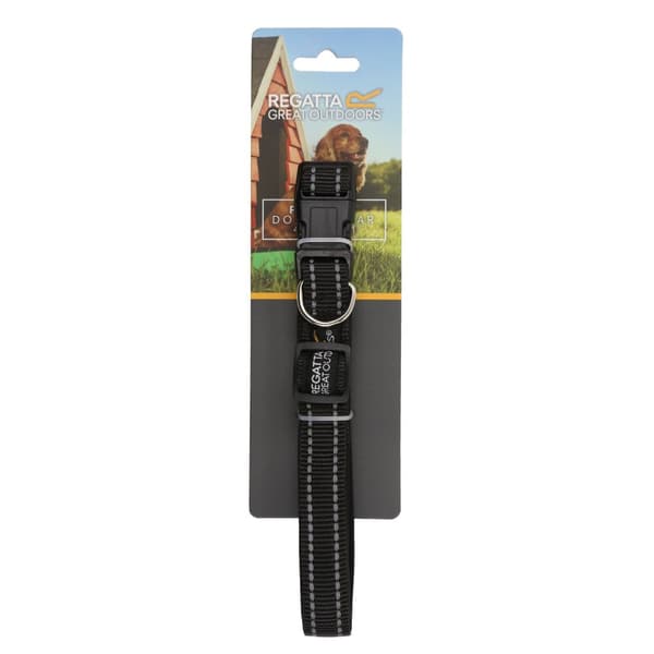 Regatta Stripe Dog Collar