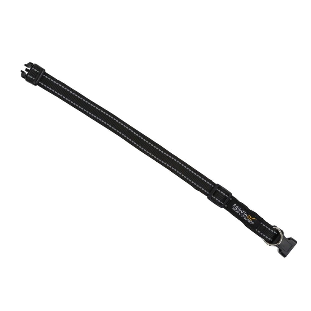 Regatta Stripe hund halsband