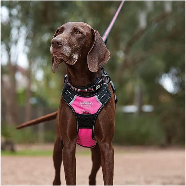 Weatherbeeta AntiPull Dog Harness CDON