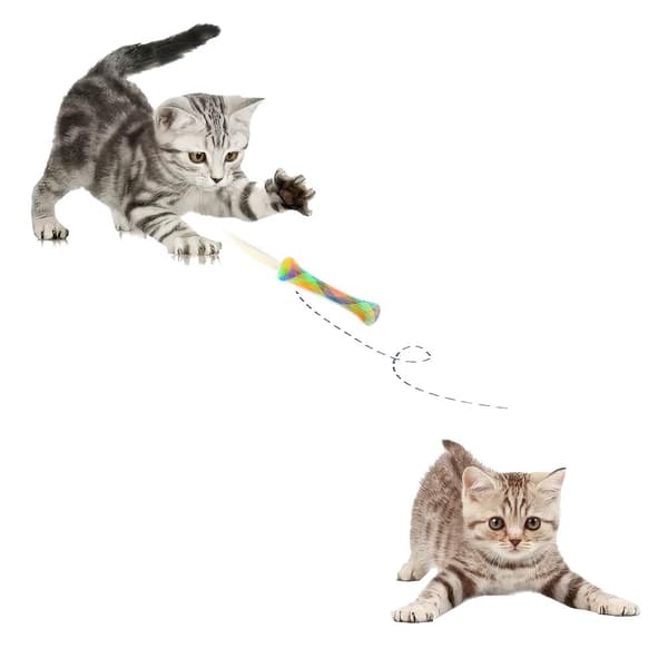 3pcs Flexible Colorful Cat Spring Toys Pet Playing Toy