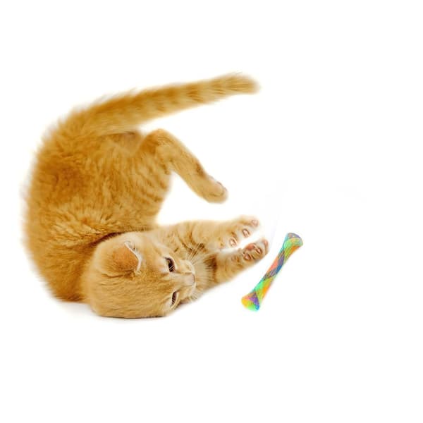 3pcs Flexible Colorful Cat Spring Toys Pet Playing Toy