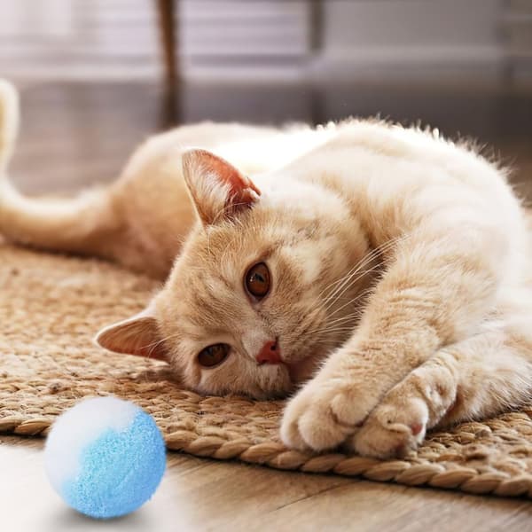5x Fluffy Soft Fur Pompon Balls Funny Toy for Pet Cat Kitten