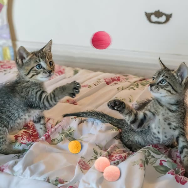 5x Fluffy Soft Fur Pompon Balls Funny Toy for Pet Cat Kitten