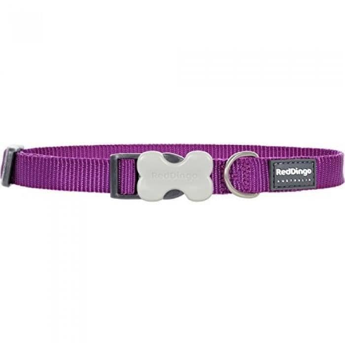 RÖD DINGO LILA HUND Halsband 24-37 CM 15 MM