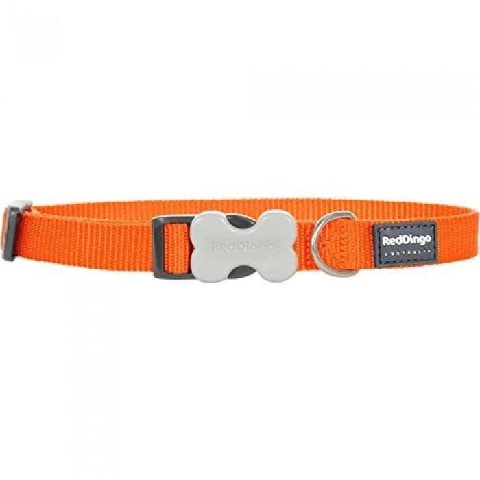 RÖD DINGO HUND Halsband ORANGE 30-47 CM 20 MM