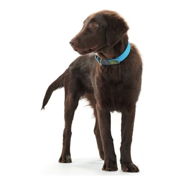 Hundhalsband Hunter Convenience Turkos