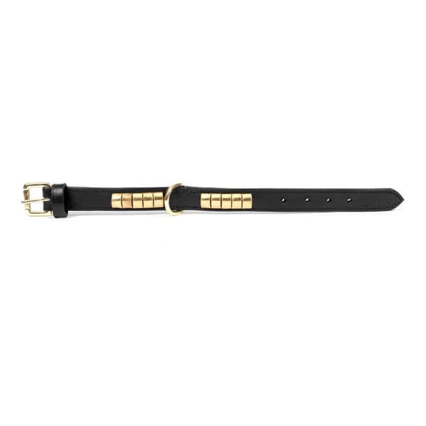 Hundhalsband Gloria Duna Svart Gyllene (45 x 2.5 cm)