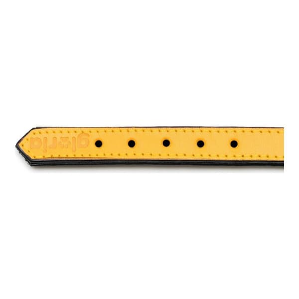 Hundhalsband Gloria Vadderad Gul (55 x 2,5 cm)