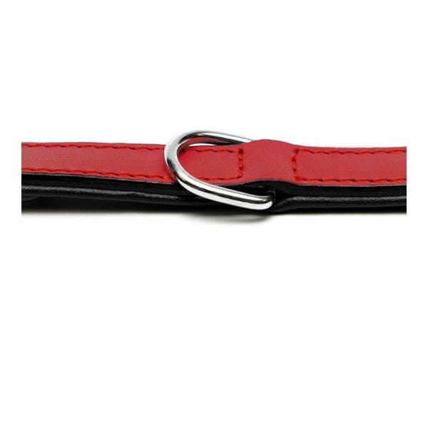 Hundhalsband Gloria Vadderad Röd (35 x 1,5 cm)