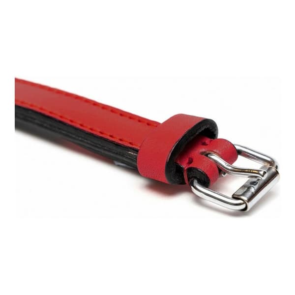 Hundhalsband Gloria Vadderad Röd (35 x 1,5 cm)