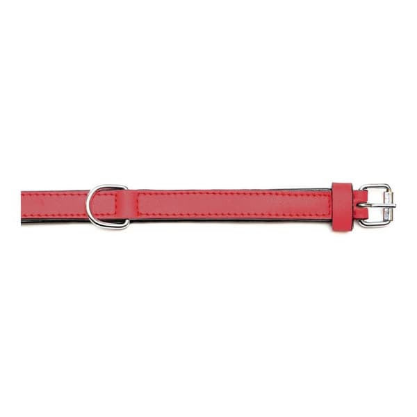 Hundhalsband Gloria Vadderad Röd (35 x 1,5 cm)