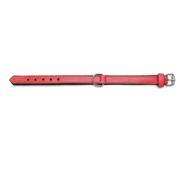 Hundhalsband Gloria Vadderad Röd (35 x 1,5 cm)