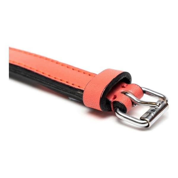 Hundhalsband Gloria Vadderad Korall (35 x 1,5 cm)