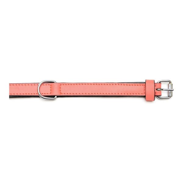 Hundhalsband Gloria Vadderad Korall (35 x 1,5 cm)