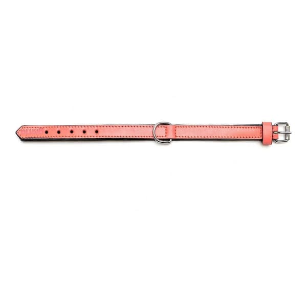 Hundhalsband Gloria Vadderad Korall (35 x 1,5 cm)