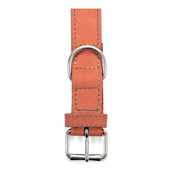 Hundhalsband Gloria Oasis Röd (50 x 2,1 cm)