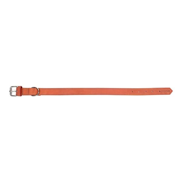 Hundhalsband Gloria Oasis Röd (50 x 2,1 cm)
