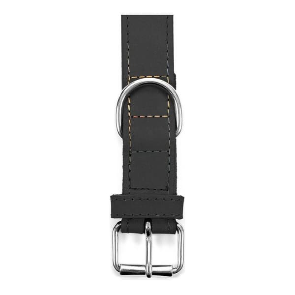 Hundhalsband Gloria Oasis Svart (50 x 2,1 cm)