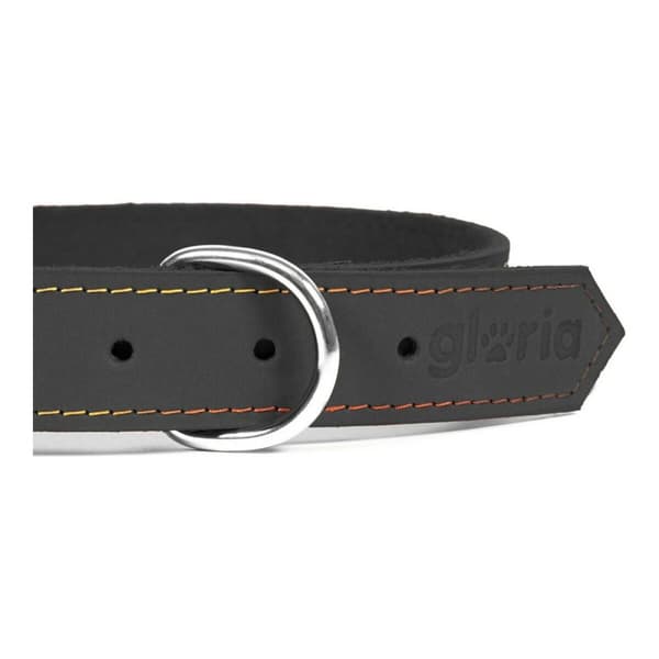 Hundhalsband Gloria Oasis Svart (50 x 2,1 cm)