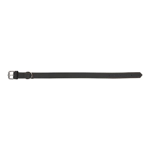 Hundhalsband Gloria Oasis Svart (50 x 2,1 cm)