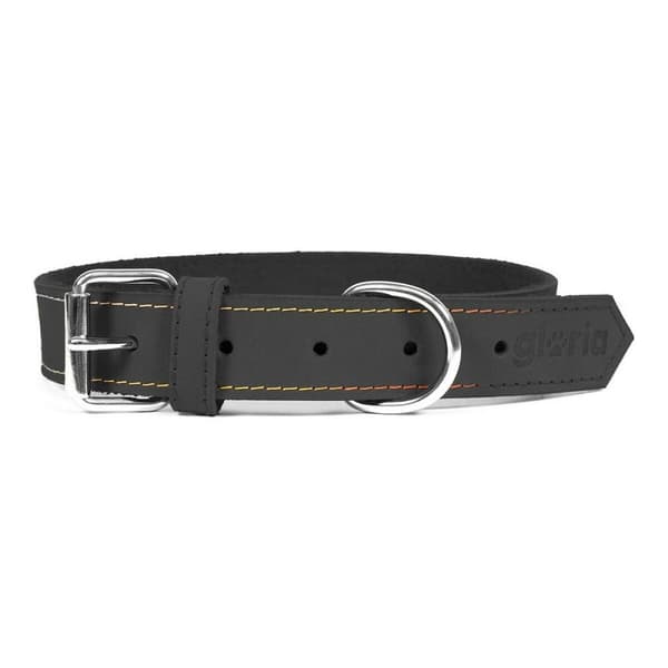 Hundhalsband Gloria Oasis Svart (50 x 2,1 cm)