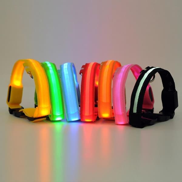 LED Hundehalsbånd Genopladelig / Refleks & Halsbånd til Hund