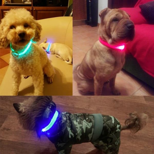 LED Hundehalsbånd Genopladelig / Refleks & Halsbånd til Hund