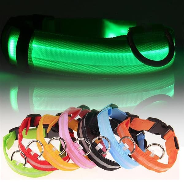 LED Hundehalsbånd Genopladelig / Refleks & Halsbånd til Hund