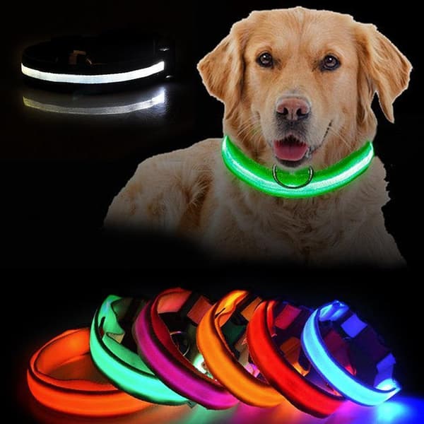 LED Hundehalsbånd Genopladelig / Refleks & Halsbånd til Hund M - Grön