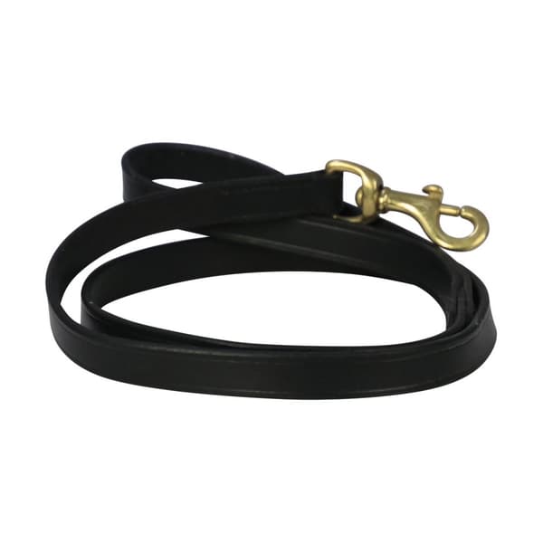 Benji & Flo Deluxe Leather Padded Dog Lead