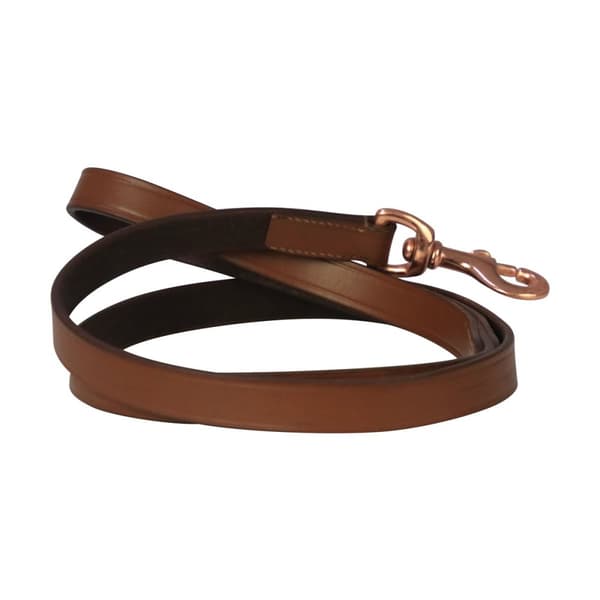 Benji & Flo Deluxe Leather Padded Dog Lead