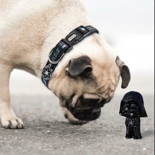 Hundhalsband Star Wars Svart S/M