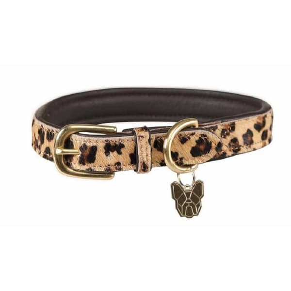 Digby & Fox Leopard Print Cow Hair Leather Dog Collar