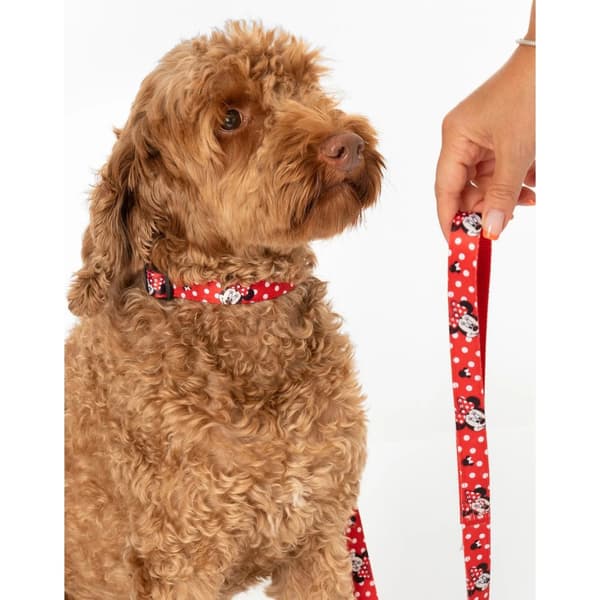 Minnie Mouse Dog Collar Set