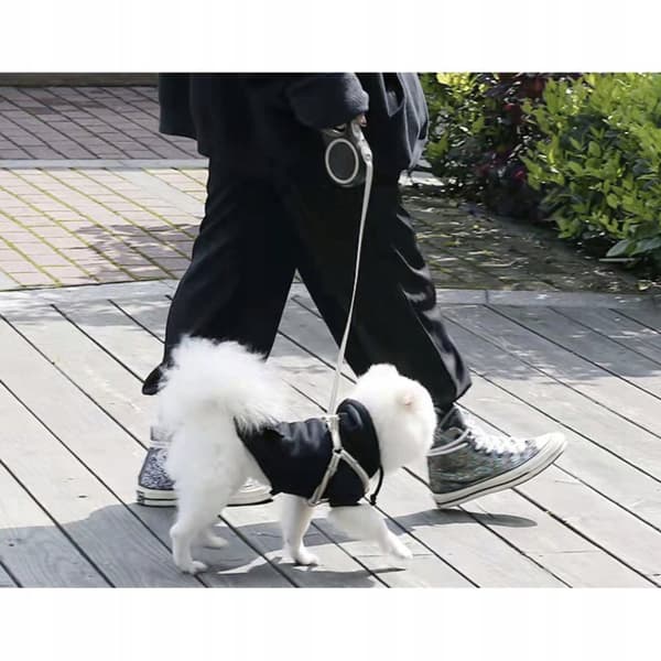 Joustava talutushihna koiralle - 5 m - Jopa 15 kg